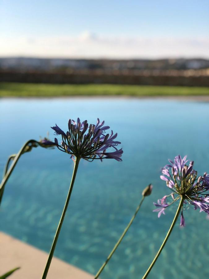 Sunset Oasis Villa L-Imgarr Exterior foto